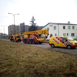 FB_IMG_1611297556680